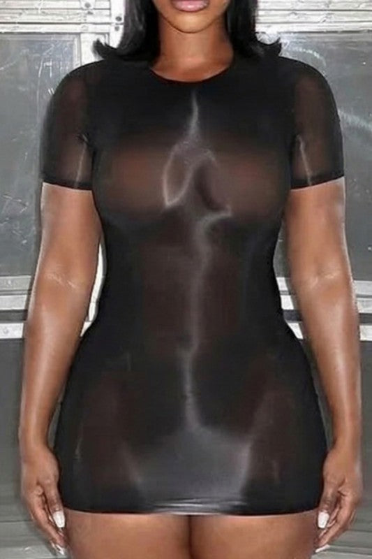 See Right Thru Me Mesh Dress (BLACK)