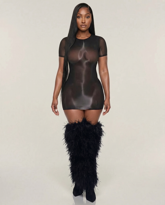 See Right Thru Me Mesh Dress (BLACK)